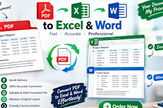 excel data entry formatting and PDF to excel conversion