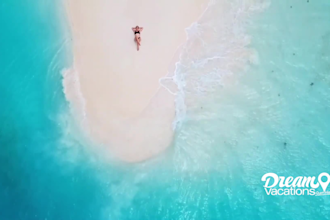plan your dream vacation