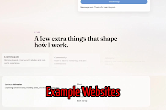 make you a fully custom professional website for anyone