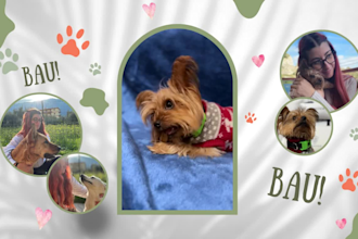 creo video ugc premium con i miei cani