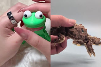 create printable articulated toys, flexi animals with stl files for 3d print