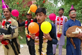 wish african happy birthday video or happy birthday video