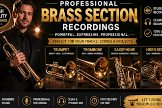 record live studio quality brass trumpet, trombone, saxophone, horn section