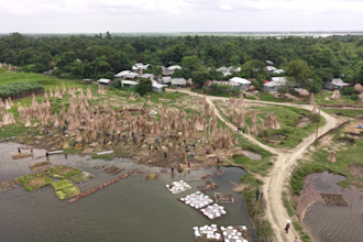 collect custom footage in bangladesh for your project