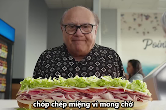 translate and add english,vietnamese,korean,japanese subtitle to film or video
