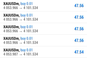 offer profitable forex trading bot, forex bot, trading bot, forex trading bot ea