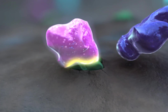 create high end 3d medical animation and pharma moa explainer videos