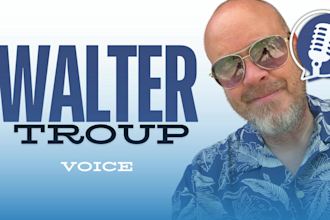 provide a clean and clear voice for your project