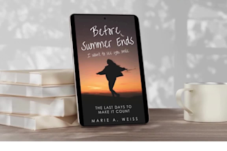 create an ebook cover in 24h