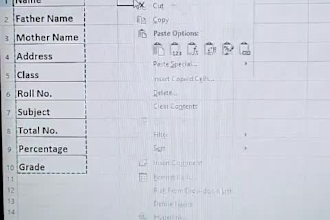 do professional pdf to excel or word data entry accuracy