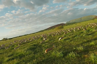 edit your drone and fpv footage into cinematic masterpieces