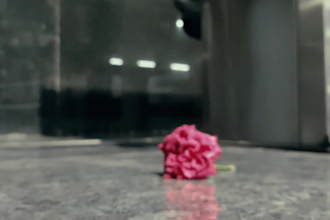do professional video editing at low at cost