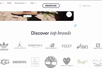 build shopify website design, dropshipping shopify website, shopify site