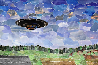design immersive documentary style collage animation and motion graphics