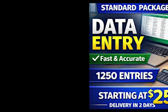 do fast dataentry, copypaste, excel dataentry and typingwork