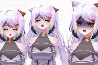 create rig 3d anime character model for live 2d, 3d vtuber, vroid, vrchat avatar