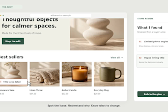 review your etsy shop shopify store and give you a clear action plan