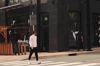 professionally blur or censor faces and objects with motion tracking