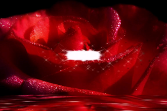 create photo slideshow video, wedding slideshow, funeral slideshow with music