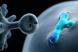 create 3d medical moa animation video for human anatomy pharma and healthcare