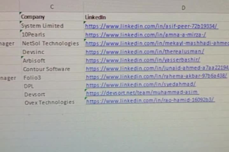 do professional data entry, web research and excel work