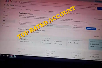 manage your ebay store as expert VA,2step dropshipping va