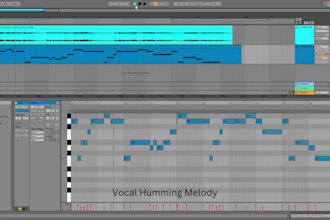 transcribe a single note vocal or instrument melody into accurate midi