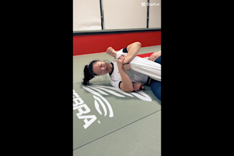 create ugc unboxing, product demo, dog product, martial art bjj product
