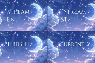 do custom stream overlay animated twitch overlay vtuber overlay for streamers