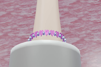 create 3d jewelry models and realistic product renders