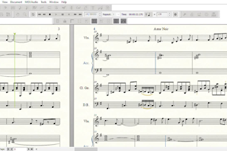 transcribe sheet music by ear for winds, strings, and solo instruments