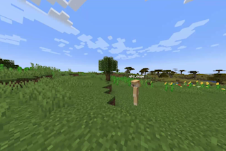 edit your minecraft video