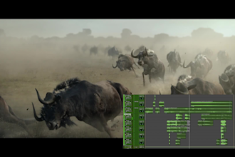 do professional sound design and mixing for your ad or video