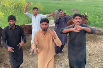 wish happy birthday video