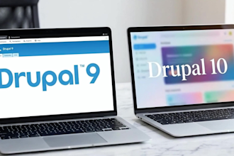 build a professional drupal website with clean design