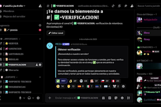 create and organize a professional discord server for your community