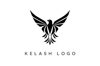 desgin a professional logo