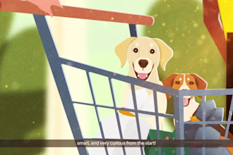 get a quality explainer animation for your business