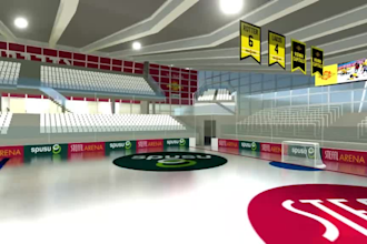 do 3d ice hockey stadium, ice rink, roller skate rink, ice skating rink design