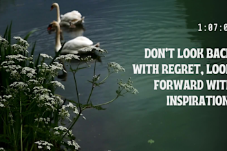 create powerful motivational tiktok videos with captions