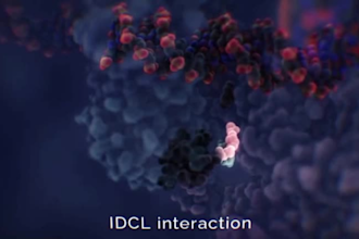 animate 3d vaccine  immune response processes   for biotech