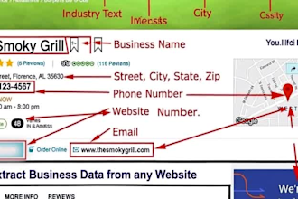do web scraping, google maps scraping, business leads