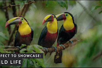 create a cinematic ai promotional travel video for your agency or destination