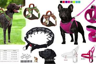 pet accessories tech pack design collar harnesses leash animal clothing design
