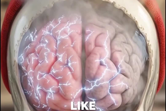 create viral dr data style ai skeleton storytelling animation shorts