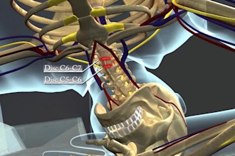 do 3d medical animation forensic victorian morgue cgi injury reconstruction