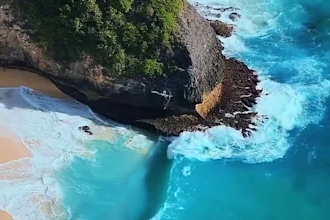 interesting holiday video clip