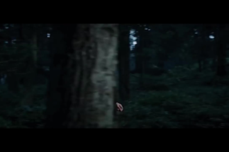 create realistic cinematic ai videos,ai animations, shots on google veo3 for ads