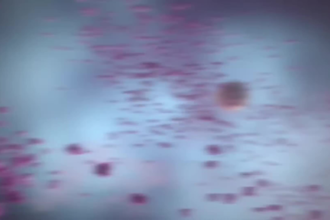 create 3d medical animation hepatitis b immune system antiviral drug interaction