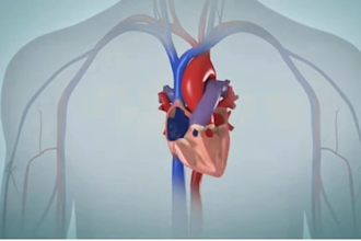 create 3d medical animation, anatomy, surgical animation and scientific visual